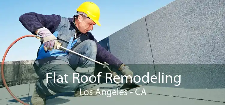 Flat Roof Remodeling Los Angeles - CA