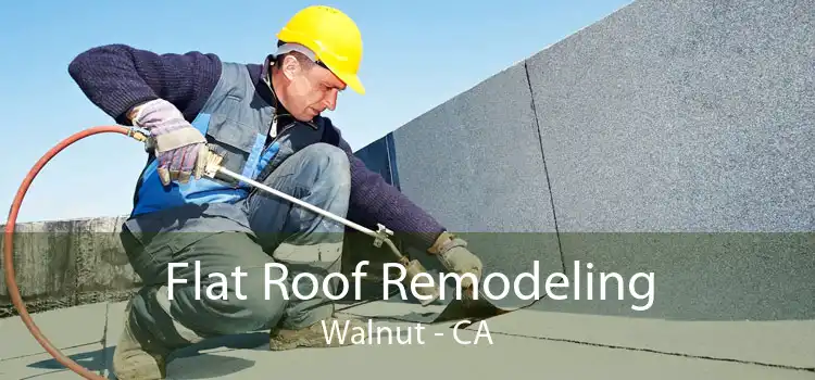 Flat Roof Remodeling Walnut - CA