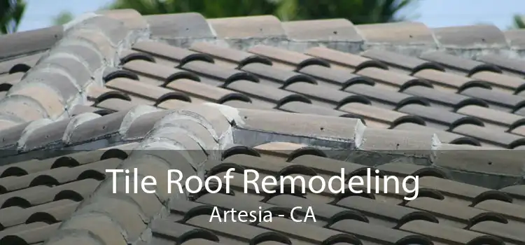 Tile Roof Remodeling Artesia - CA