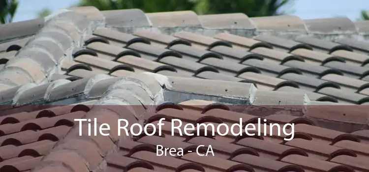 Tile Roof Remodeling Brea - CA