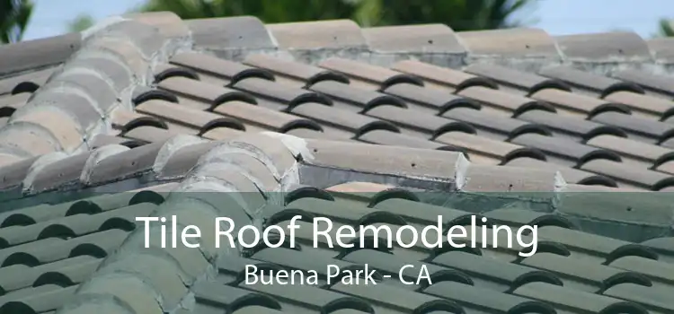 Tile Roof Remodeling Buena Park - CA