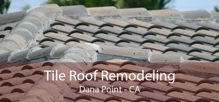 Tile Roof Remodeling Dana Point - CA