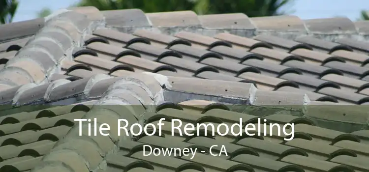 Tile Roof Remodeling Downey - CA