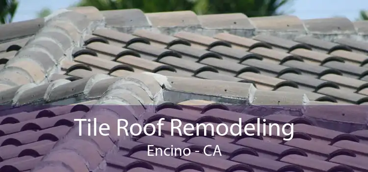 Tile Roof Remodeling Encino - CA