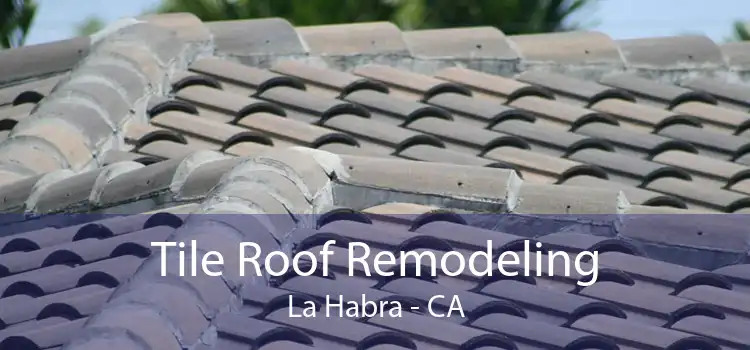 Tile Roof Remodeling La Habra - CA