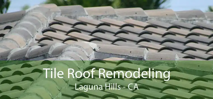 Tile Roof Remodeling Laguna Hills - CA