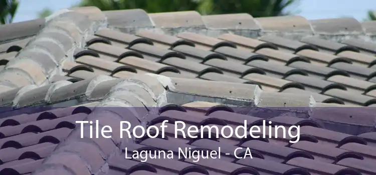 Tile Roof Remodeling Laguna Niguel - CA