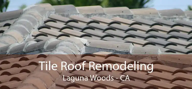 Tile Roof Remodeling Laguna Woods - CA