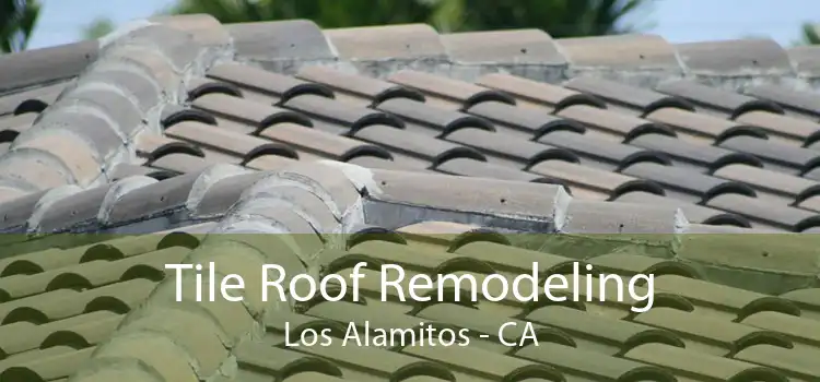 Tile Roof Remodeling Los Alamitos - CA