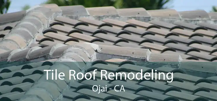 Tile Roof Remodeling Ojai - CA