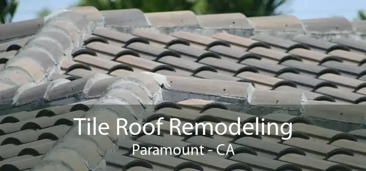 Tile Roof Remodeling Paramount - CA