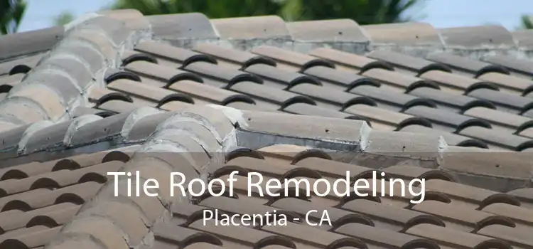 Tile Roof Remodeling Placentia - CA