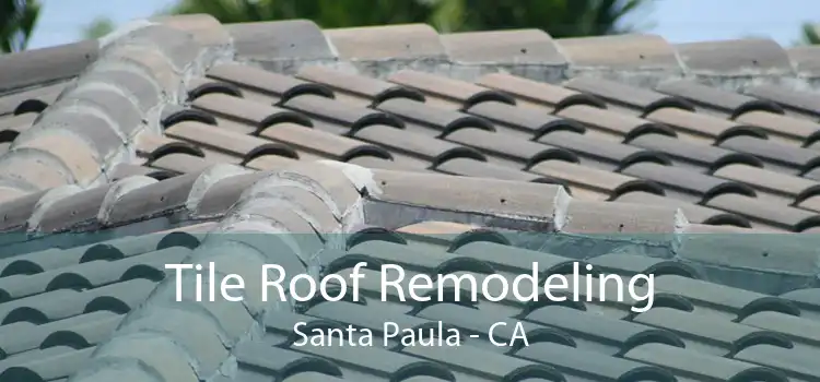 Tile Roof Remodeling Santa Paula - CA