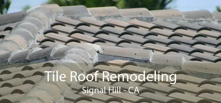 Tile Roof Remodeling Signal Hill - CA