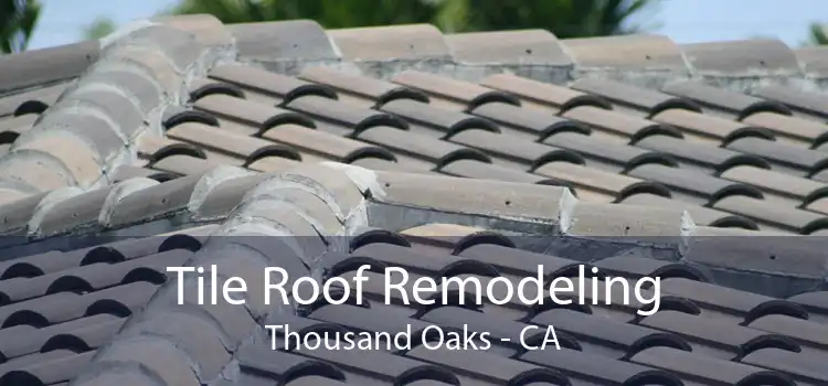 Tile Roof Remodeling Thousand Oaks - CA